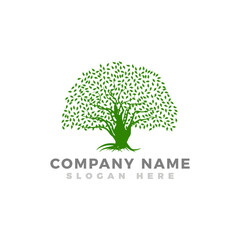 Obraz premium Oak tree logo design template