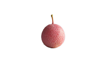 Vibrant Pink Fruit with Unique Texture on Isolated Background