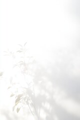 Soft light casts gentle shadows of leaves against a clear white background, creating a tranquil and serene atmosphere perfect for any creative project.