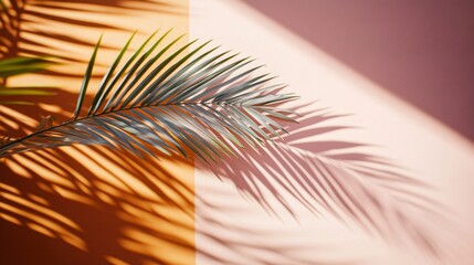Fototapeta premium Palm Leaf Shadow on Orange and Pink Wall Minimalist Summer Background