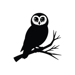 Obraz premium Owl silhouette sitting on a branch vector design template