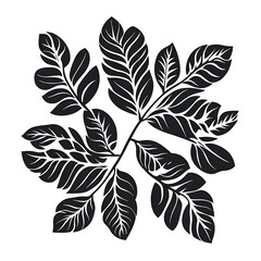 Black plant leaves arranged in a symmetrical radial pattern.