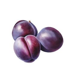 Three Watercolor Isolated Ripe Plums