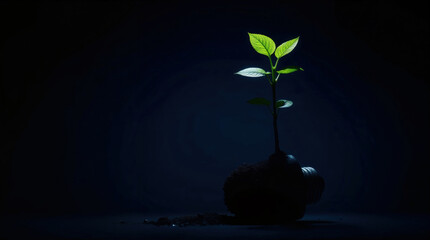 Green plant growing inside a light bulb filled with soil, representing renewable energy and environmental conservation