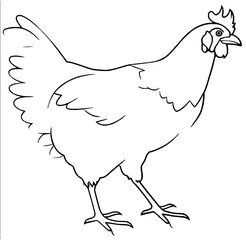 hen and chicken cartoon illustration 