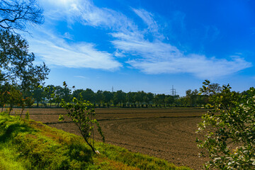 Obraz premium Serene Landscape with Trees and Open Sky