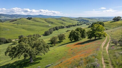 Fototapeta premium Natural landscape picture