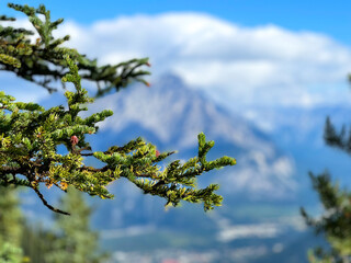 Majestic Banff National Park: A Canadian Rockies Paradise in Alberta, Canada (Banff City)