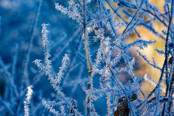 Trees and vegetation covered in ice crystals on a freezing winter's day.