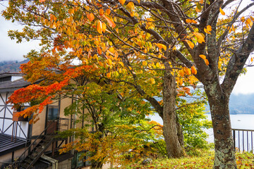 travel to Japan with Autumn in Nikko