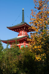 Obraz premium Red Temple in a Beautiful Japanese Garden
