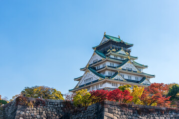 Osaka castle in autumn with autumn leaves and blue sky background in Osaka city Japan.