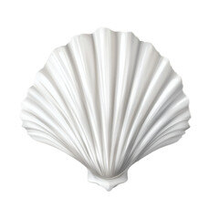 white scallop shell isolated on white transparent background