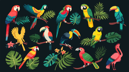 Exotic Hawaiian Bird Wildlife: Stunning Tropic Beauty