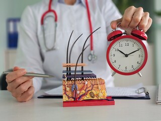 Skin circadian rhythm and doctor holding skin model and alarm clock