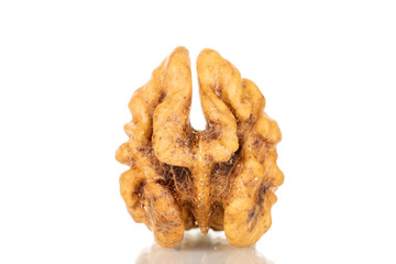 Shelled walnuts, close-up, isolated on a white background.