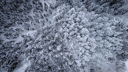 Mont Jura sous la neige
