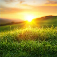 A serene sunset over lush green grass, with warm sunlight illuminating the landscape and creating a tranquil atmosphere.