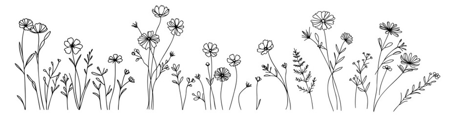 Botanical abstract line art composition, minimal floral border of hand drawn herbs, flowers, leaves, wildflowers and branches vector illustration. © Vasyl Yurlov