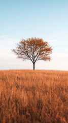 Fototapeta premium Stunning Autumn Field Captivating Ultra HD Landscape with Space