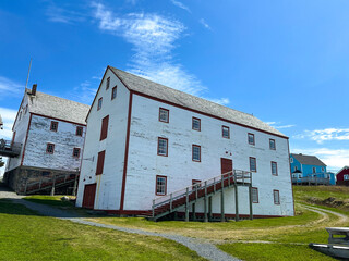 Obraz premium Bonavista, Newfoundland: Rugged Beauty of Canada’s Atlantic Coast