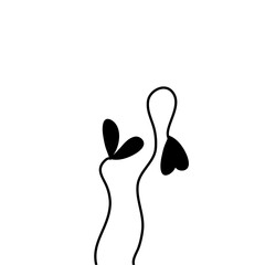 little plant seedling