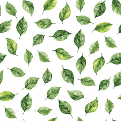 Seamless vector texture with waterpaint fresh spring leaves on white background