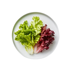 Fresh red and green lettuce isolated on a transparent background remove PNG, clipping path