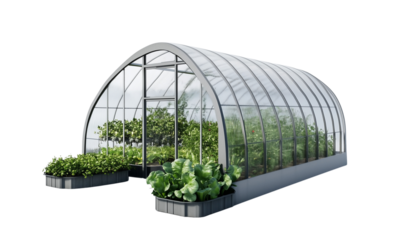 a Greenhouse isolated on a transparent background