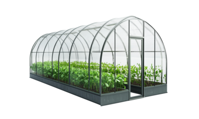 a Greenhouse isolated on a transparent background