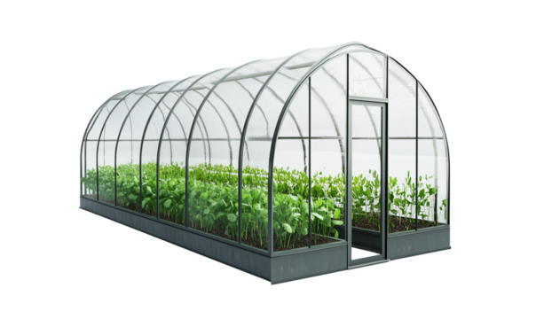 a Greenhouse isolated on a transparent background
