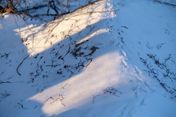 snow covered sunlit ground with grass stems. Shadows on snow.