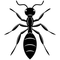 Cute Silhouette of a Ant line art vector cartoon illustration