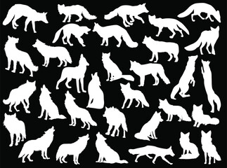large set of fox and wolf silhouettes isolated on black