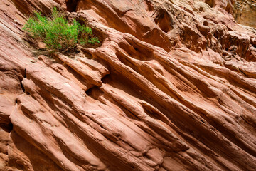 Eroded by water and wind cliffs in the canyon, Little Wild Horse Canyon, San Rafael Swell, Utah