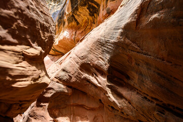 Eroded by water and wind cliffs in the canyon, Little Wild Horse Canyon, San Rafael Swell, Utah