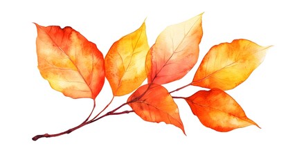 Vibrant Autumn Leaves on Branch Displaying Seasonal Colors