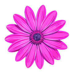 Obraz premium A pink flower vector illustration (1)