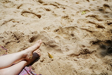 Praia das Conchas or Shell Beach in Ubatuba, Sao Paulo, Brazil - ブラジル サンパウロ ウバトゥバ 貝殻ビーチ