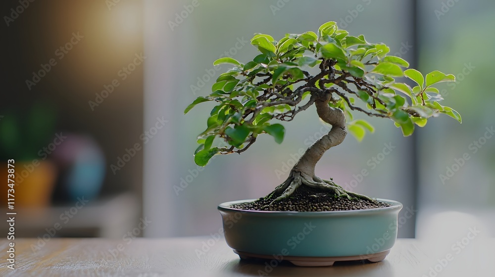 Poster captivating bonsai tree with intricate branches displayed on an office desk illuminated by soft ligh