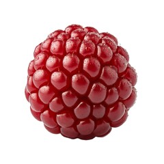 boysenberry isolated on white background