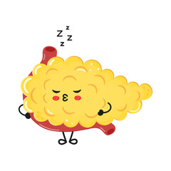 Pancreas sleeping character. Vector hand drawn cartoon kawaii character illustration icon. Isolated on white background. Pancreas sleep character concept