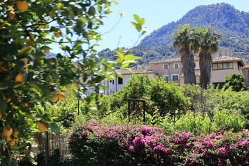 Blick in die Altstadt von Soller auf der Spanischen Mittelmeerinsel Mallorca	