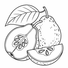 Hand-Drawn Guava Illustration Vector for Botanical and Culinary Projects