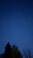 Night sky with stars, with white tones