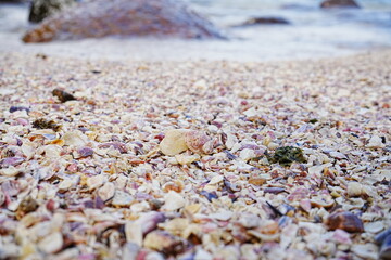 Praia das Conchas or Shell Beach in Ubatuba, Sao Paulo, Brazil - ブラジル サンパウロ ウバトゥバ 貝殻ビーチ