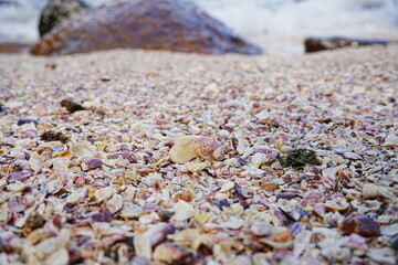 Praia das Conchas or Shell Beach in Ubatuba, Sao Paulo, Brazil - ブラジル サンパウロ ウバトゥバ 貝殻ビーチ