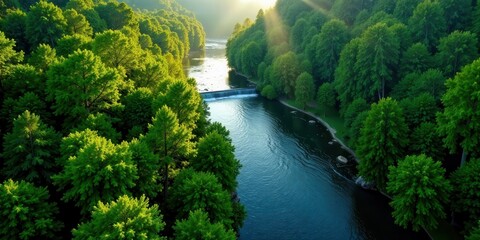 Fototapeta premium Serene River Flowing Through Lush Green Forest Canopy at Dawn