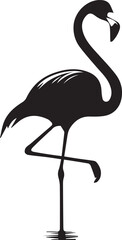  Flamingos silhouette vector EPS
