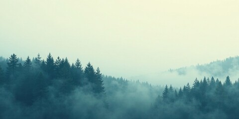 Fototapeta premium Misty Mountain Forest Landscape Serene Coniferous Trees Enveloped in Fog